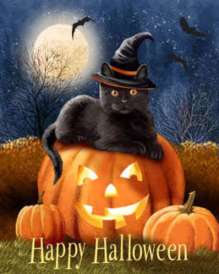 halloween-cat-cats-16288690-320-400.jpg